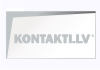 Latvian Intelligent Systems Ltd.